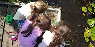 Primaire afbeelding van Pond Dipping (5+) at Ryton Pools Country Park