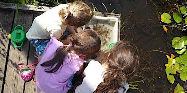 Pond Dipping (5+) at Ryton Pools Country Park