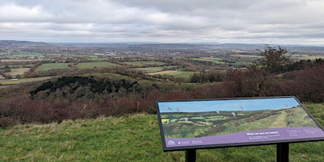 Social Stroll on Butser Hill Top