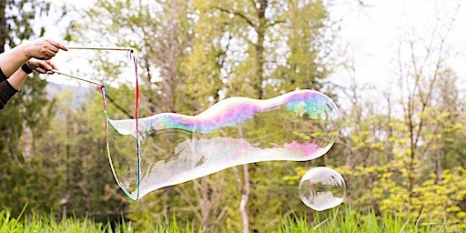 Bubble Wands (5+) at Ryton Pools Country Park primary image