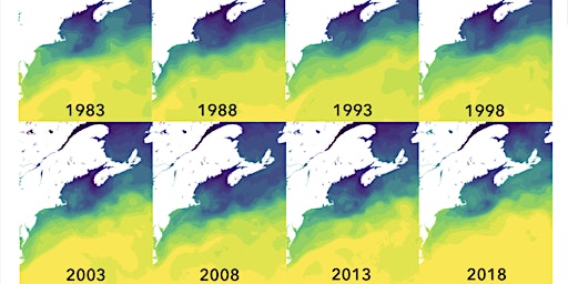 Imagem principal de Educator Workshop: Models, Food Webs and a Warming Gulf of Maine