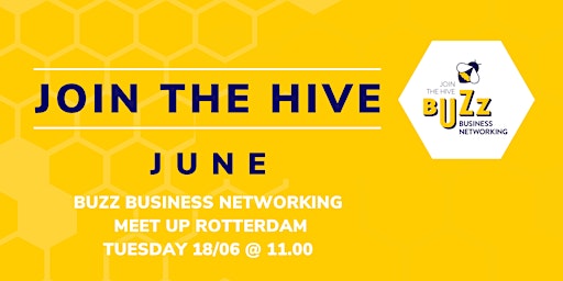 Hauptbild für June 2024 Buzz Business Networking Meet Up – Rotterdam