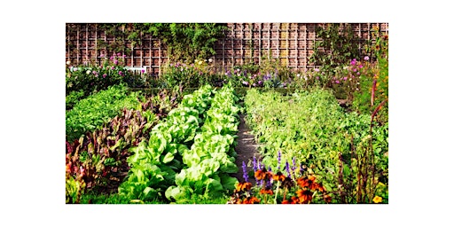 Large Garden / Small Vegetable Producer Workshop primary image