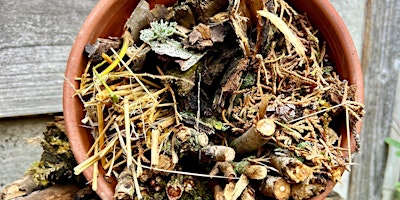 Bug Hotel (8+) at Ryton Pools Country Park primary image