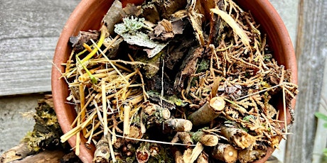 Bug Hotel (8+) at Ryton Pools Country Park