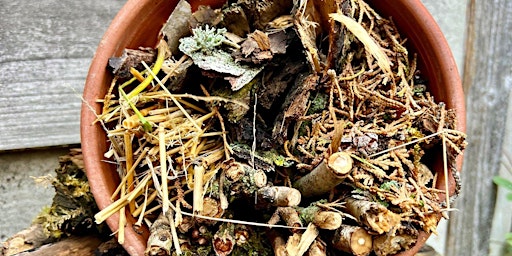 Imagem principal do evento Bug Hotel (8+) at Ryton Pools Country Park