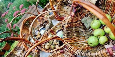 Create a Willow Foraging Basket