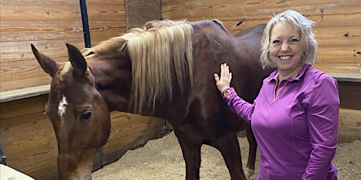 Immagine principale di Tri Semester Summer Horse Riding Lessons 10 weeks 