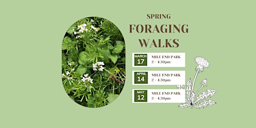 Spring Foraging Walks primary image