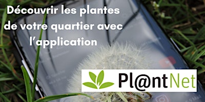 Imagem principal do evento Identifier les plantes de votre quartier avec Pl@ntnet