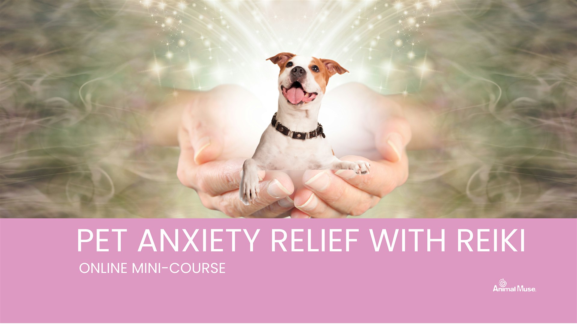 PET ANXIETY RELIEF WITH REIKI