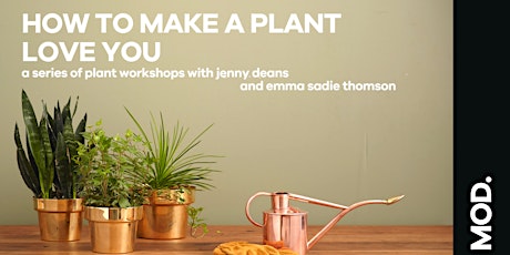 How to Make a Plant Love You primary image