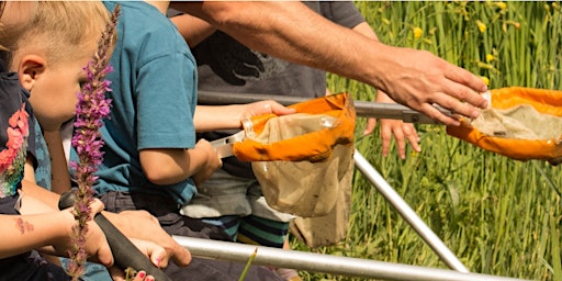 Primaire afbeelding van Chigwell Meadows Pond Dipping and Easter Trail (3+ years)