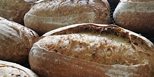 Imagem principal de Sourdough Breadmaking with Paul Raddan