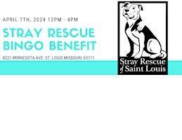 Immagine principale di Bingo Benefit for Stray Rescue 