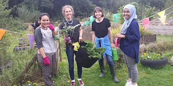 Exeter Community Garden volunteer sessions (for all students)