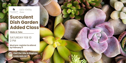 Primaire afbeelding van Succulent Dish Garden Workshop- Added Class