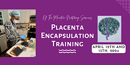 Placenta Encapsulation Training primary image