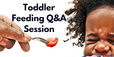 Toddler Feeding Q&A primary image