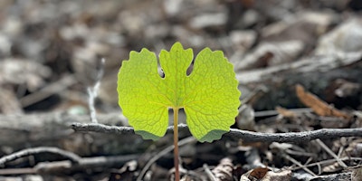 Hauptbild für Generating Joy Retreat