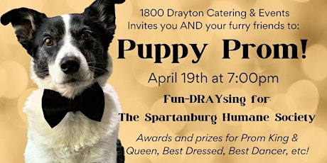 Puppy Prom: Fundraysing for Spartanburg Humane Society