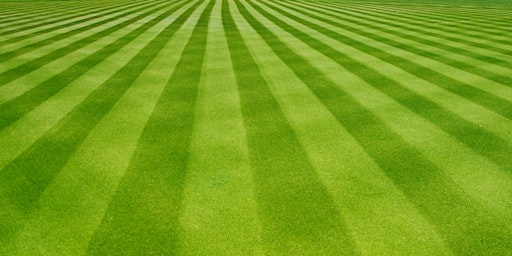 Ornamental and Turfgrass Pest Control Certification Review and Exam primary image