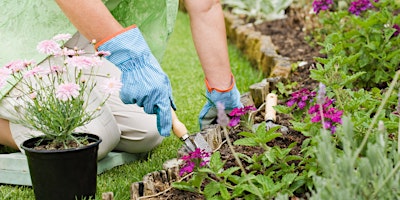 Primaire afbeelding van Class: Plant This, Not That