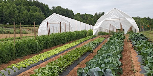 High Tunnel Growers Workshop primary image