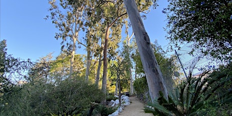 Imagen principal de Botany Brown Bag: Trees of Trees by Dr. Felipe Zapata