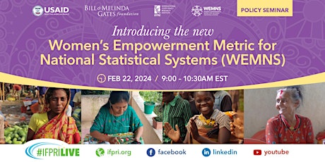 Women’s Empowerment Metric for National Statistical Systems (WEMNS) primary image