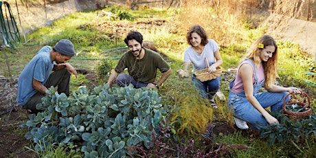 Portland Herb Craft School