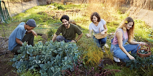 Imagen principal de Portland Herb Craft School