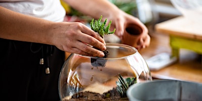 Imagen principal de Workshop: Terrariums 101