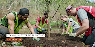 Imagen principal de Community Tree Planting: Kelly Miller Recreation Center