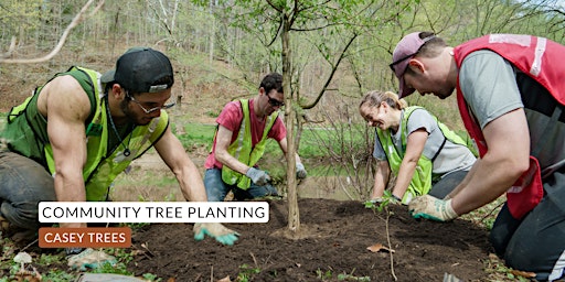 Imagem principal do evento Community Tree Planting: Kelly Miller Recreation Center