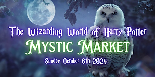 The Wizarding World of Harry Potter Mystic Market