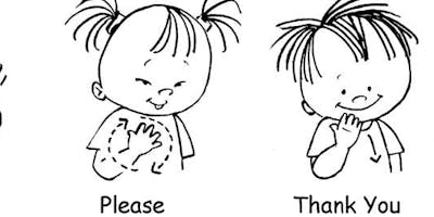Baby Sign Basics