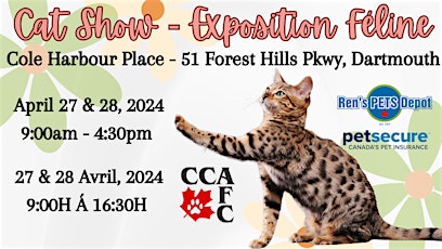 Dartmouth  CCA-AFC Cat Show