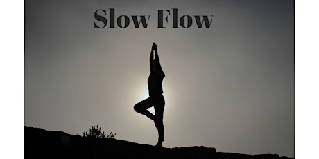 VIBE 60 - Slow Flow with Caitlin