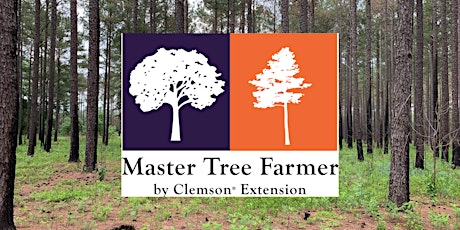 Master Tree Farmer