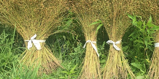 Hauptbild für Flax-to-Linen Program
