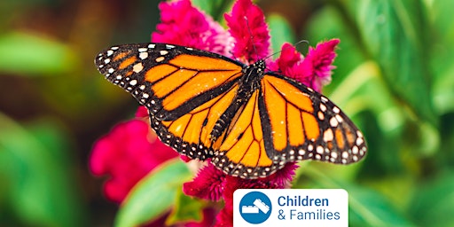 Hauptbild für School Holiday Program: Butterfly House  at Keilor Library