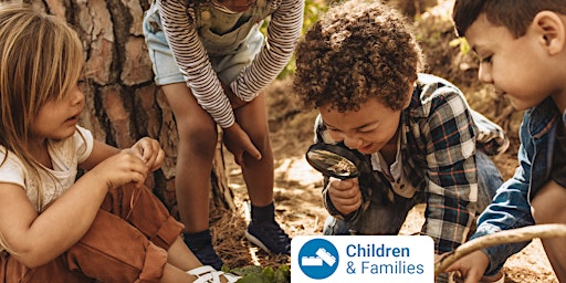 Imagem principal de School Holiday Program: Water Bug Detectives