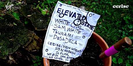 Elevated State feat. WHITE OWL, Sam White, Tsunami & Desadeca primary image