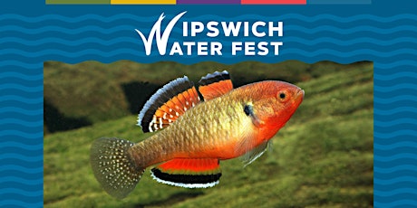 WaterFest Celebration Day