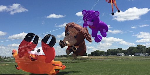 Imagem principal do evento KITE FESTIVAL