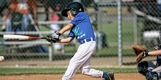 Palm Beach Summer Baseball Camp 2024 primary image