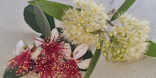 Gardening with Bush Foods primary image