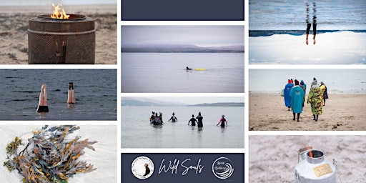 Imagem principal de Seaweed: Forage, Wild Craft, Wild Bathe, Oban