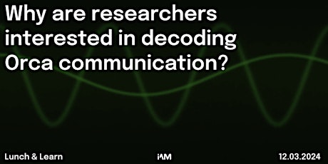 Imagen principal de Why are researchers interested in decoding Orca communication?